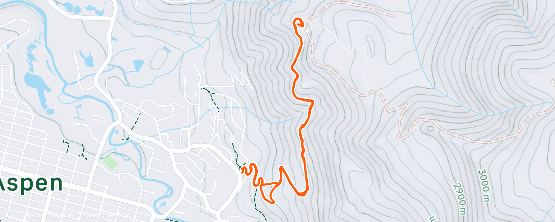 Карта физической активности (Afternoon Trail Run)