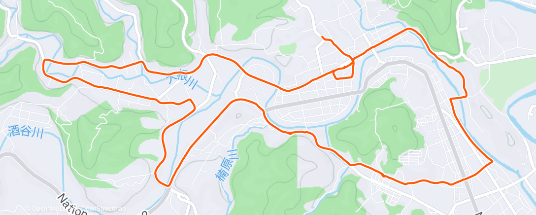 Map of the activity, 16km long run