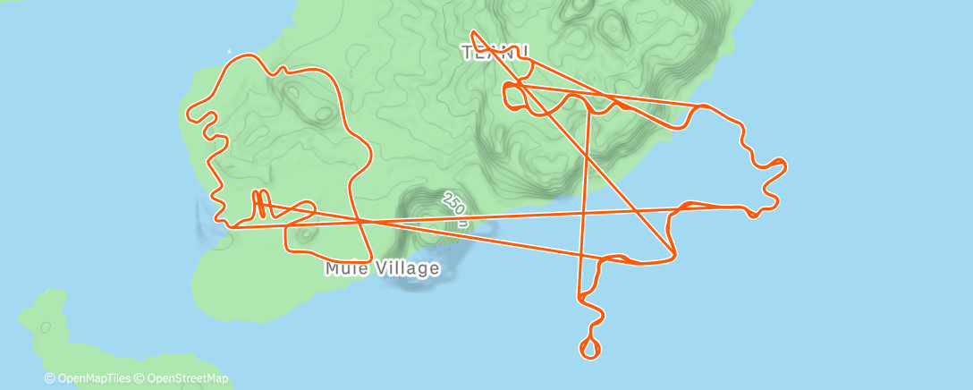 Карта физической активности (Leftfield)