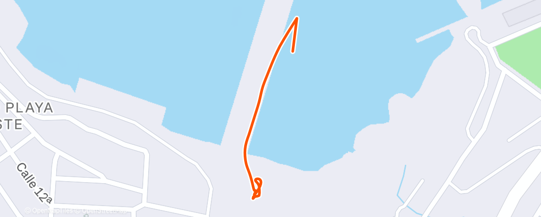 Карта физической активности (Morning Walk)