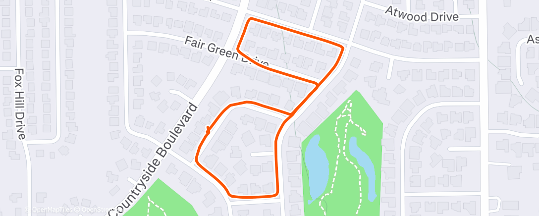 Map of the activity, Afternoon Walk