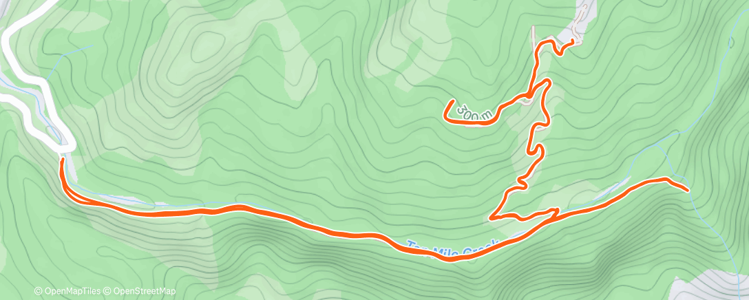 Карта физической активности (Morning Trail Run)