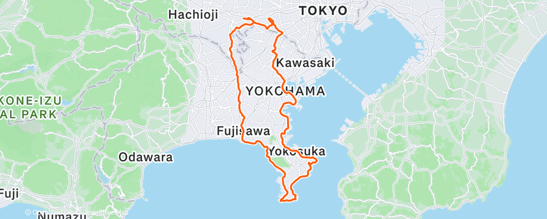 Карта физической активности (2025)