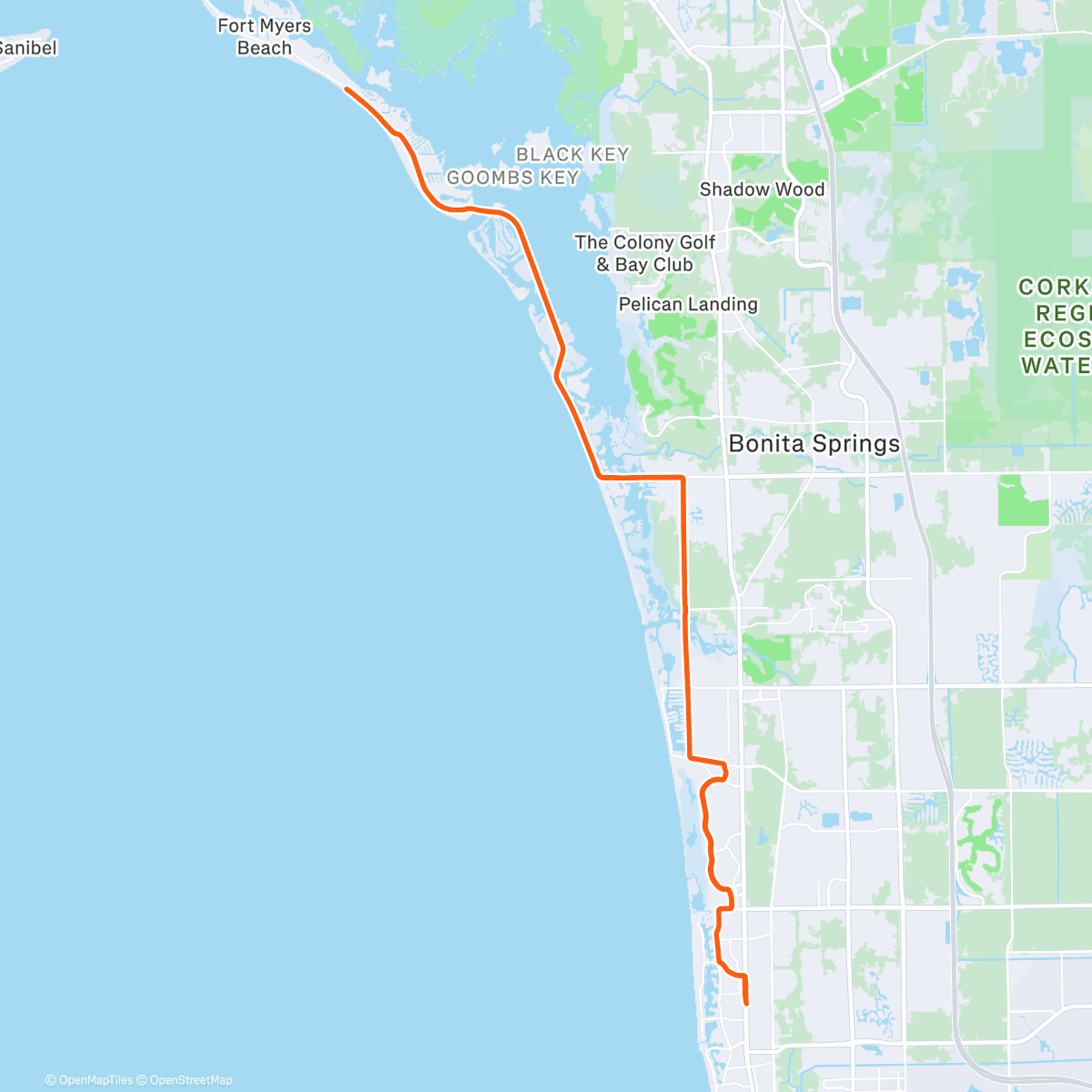 Карта физической активности (Morning Ride)