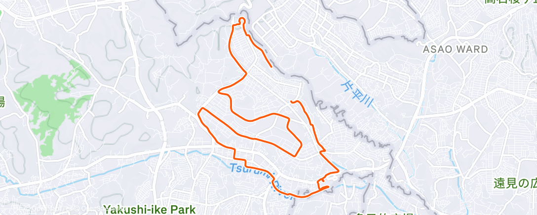 Map of the activity, Afternoon Run