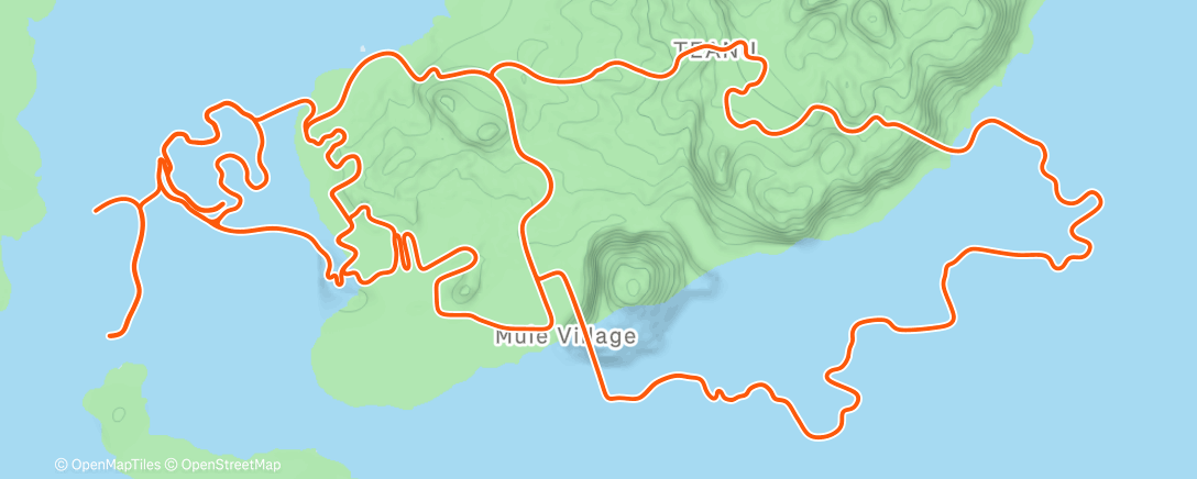 Карта физической активности (Craving a spice bag)