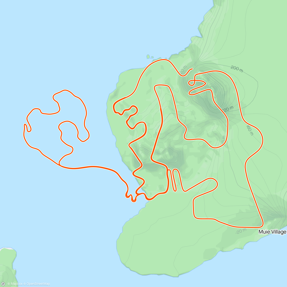 Map of the activity, Zwift - Figure 8 Reverse in Watopia
