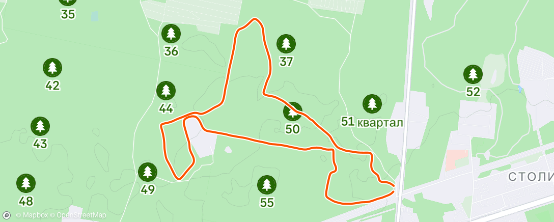 Map of the activity, Ski