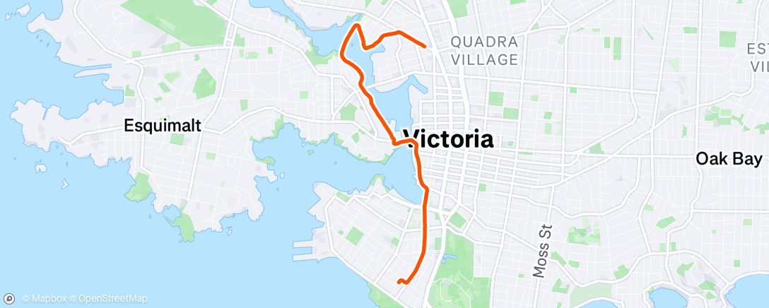Map of the activity, Morning Run