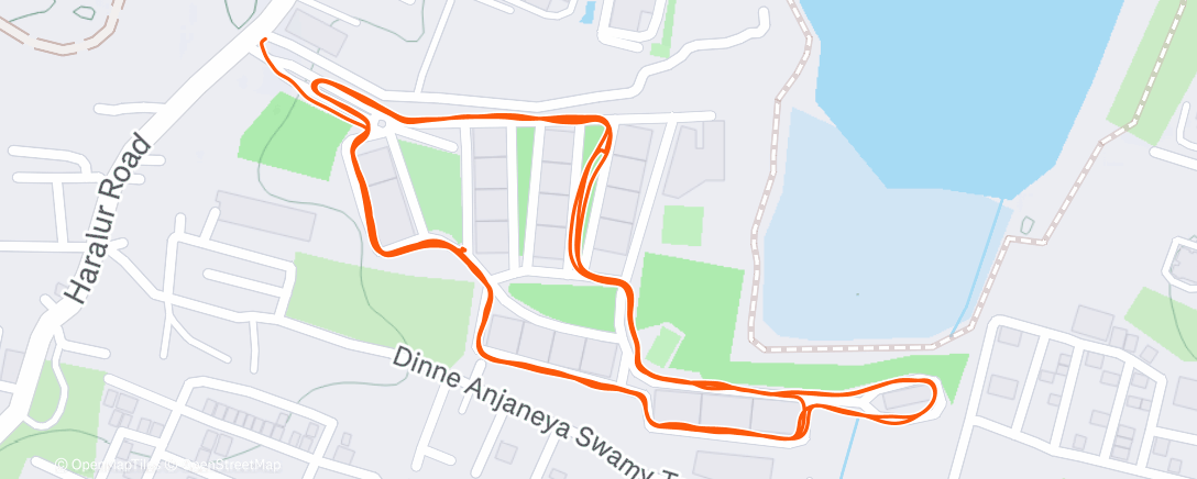 Map of the activity, Evening Run