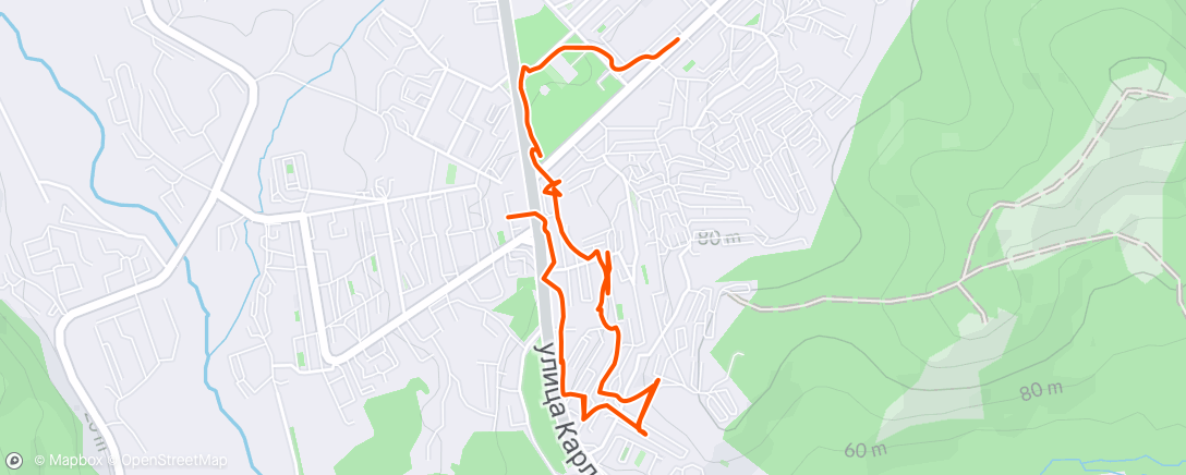 Map of the activity, Afternoon Walk