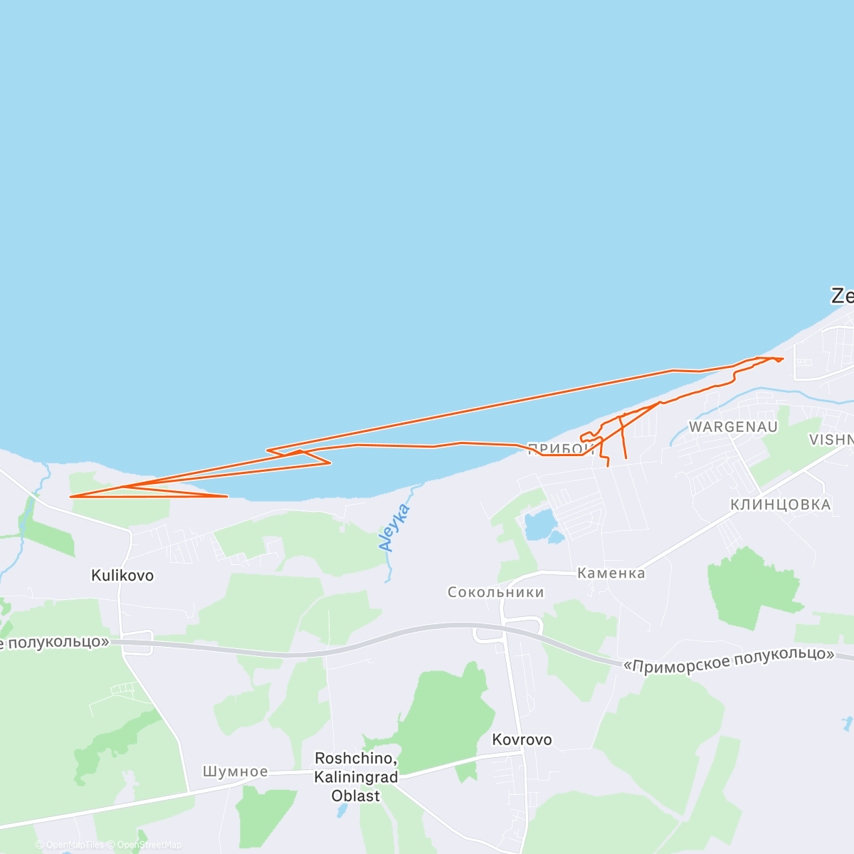 Map of the activity, Классические лыжи (после полудня)