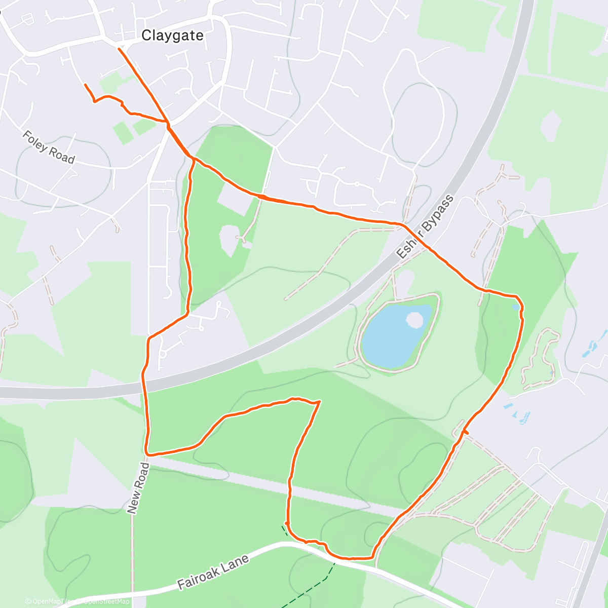 Map of the activity, Beautiful Day For a Family Dog Walk