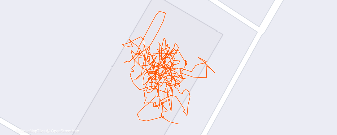 Map of the activity, Evening Workout