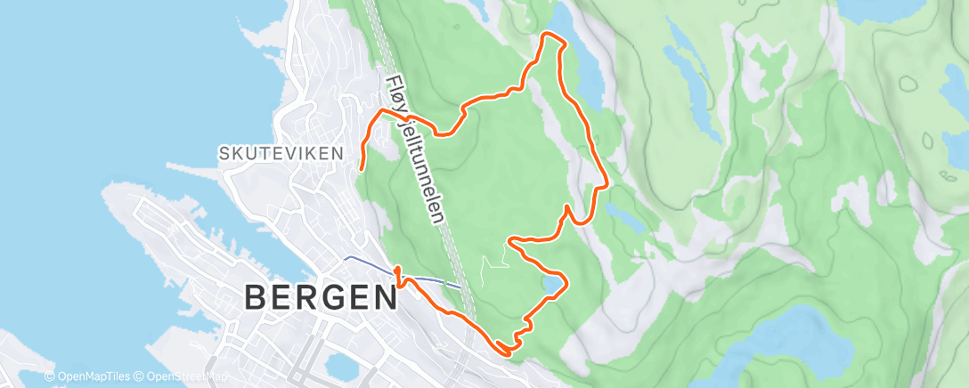 Карта физической активности (Lunch Walk)