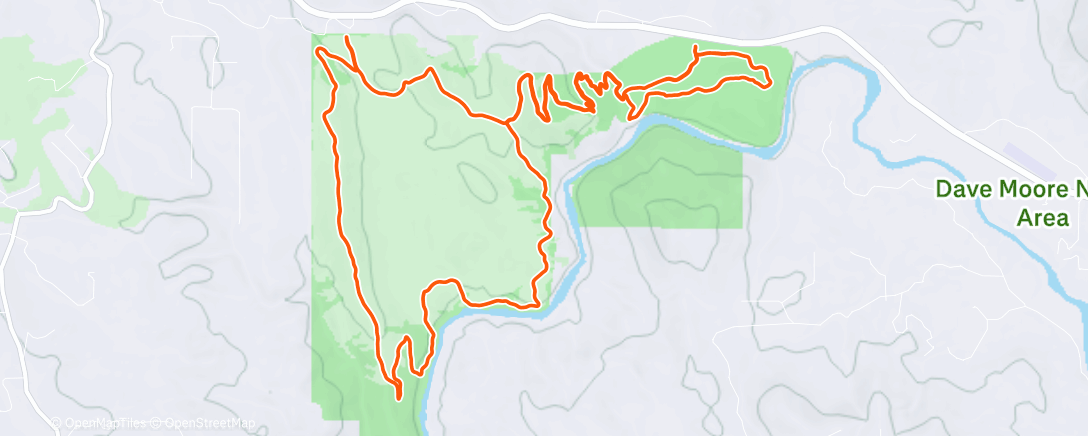 Mapa de la actividad (Morning Run)
