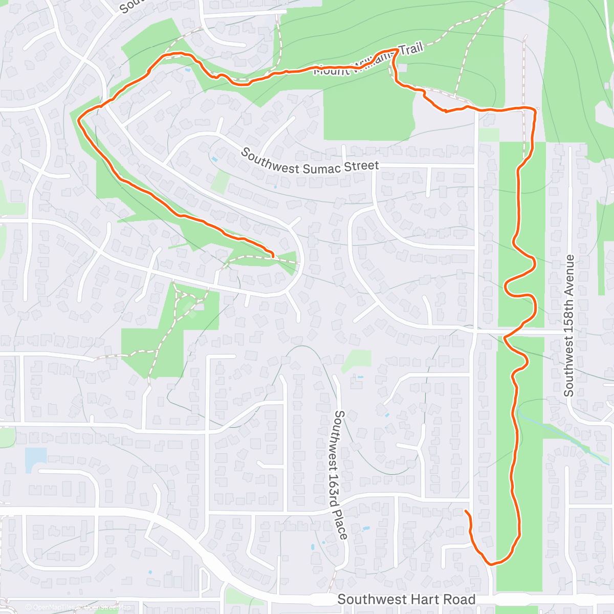 Карта физической активности (Homecourt 12.29.25 +L3)