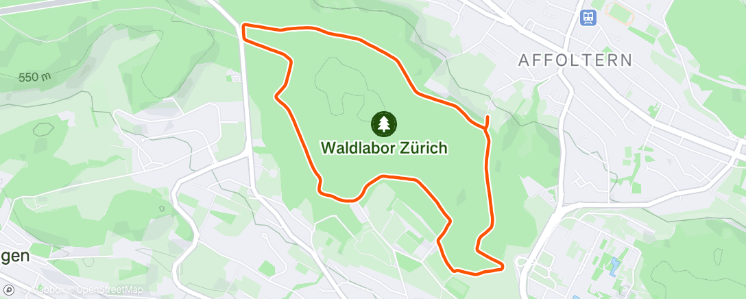 Map of the activity, Evening Run