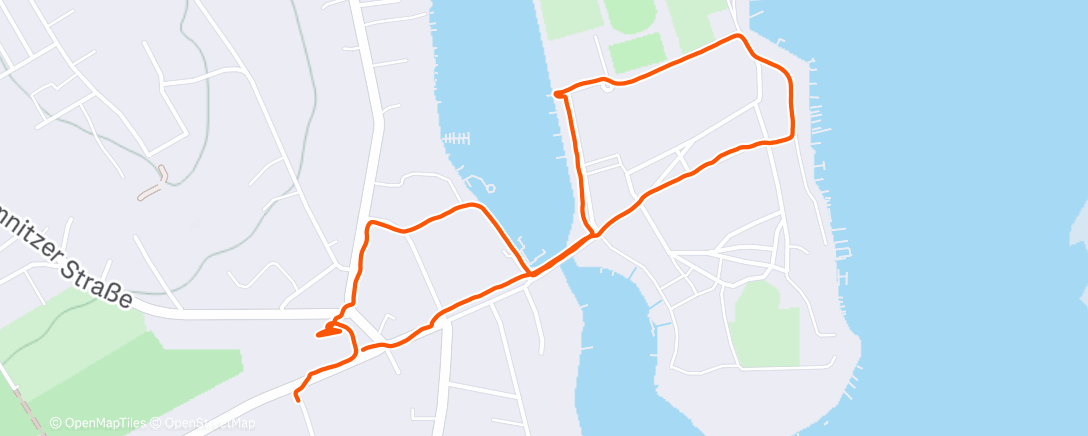 Карта физической активности (Spaziergang am Morgen)