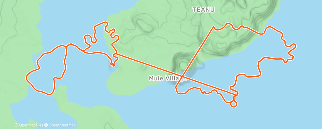 Карта физической активности (Zwift - Jarvis Seaside Sprint in Watopia)