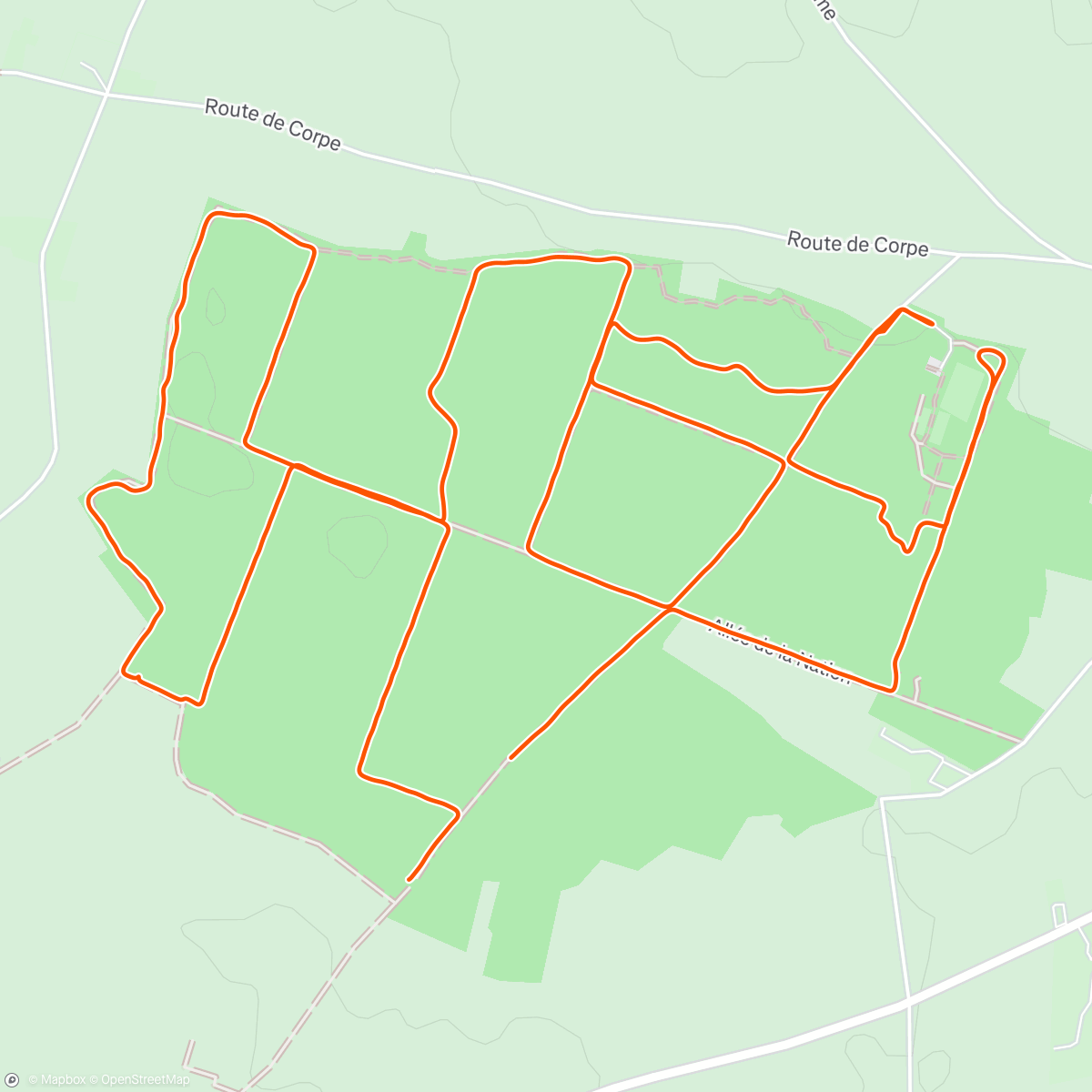 Map of the activity, Fartlek en forêt