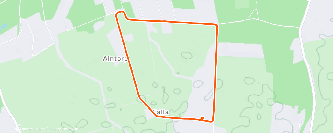 Карта физической активности (Afternoon Walk)