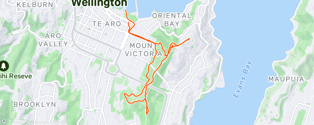 Map of the activity, Evening Run