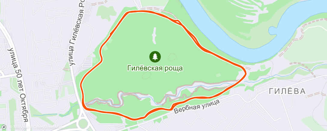 Map of the activity, Вечерний забег