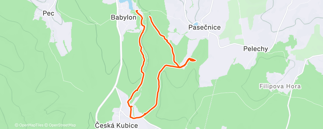 Карта физической активности (Morning Walk)