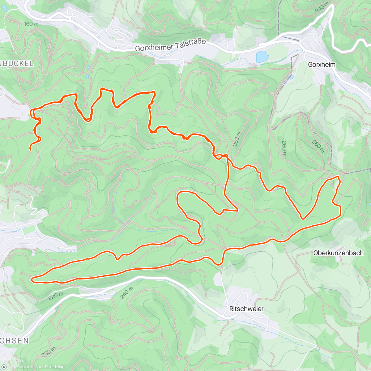 Map of the activity, Sonntagslauf
