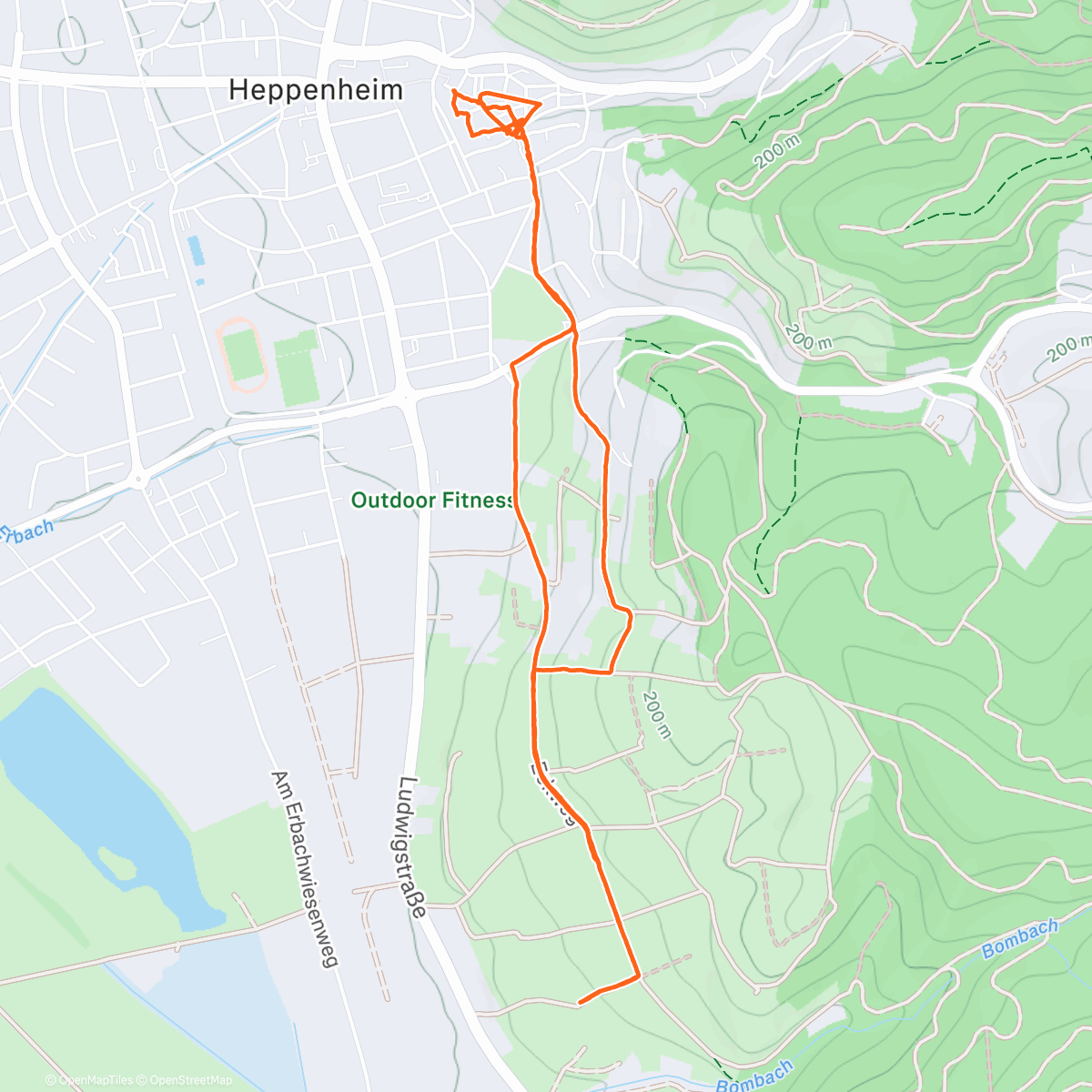 Map of the activity, The Christmas Walk