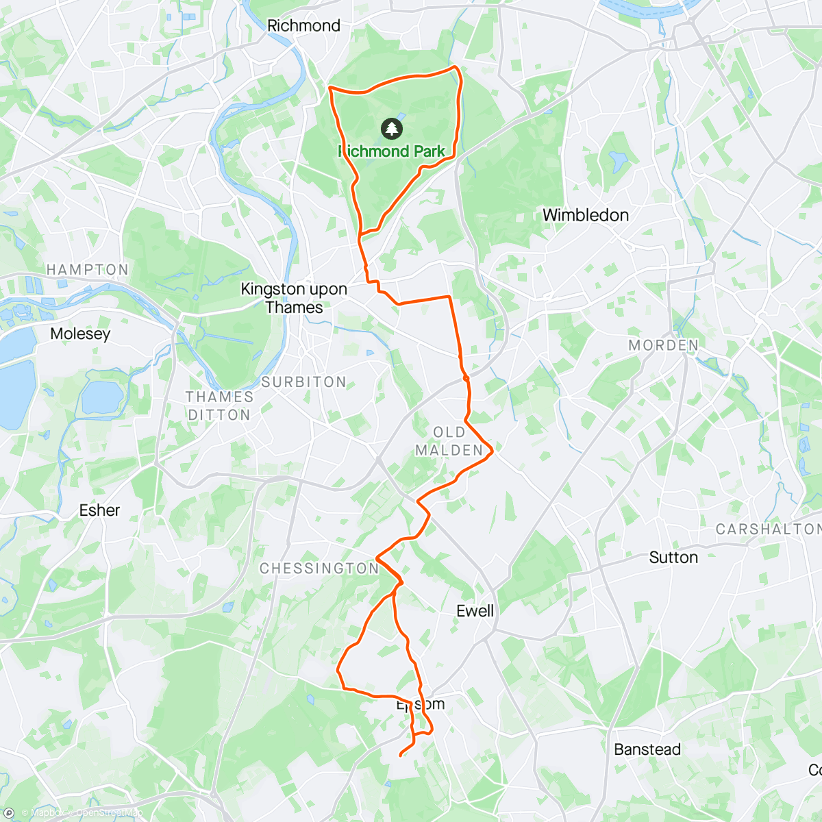 Map of the activity, TCR 2 RP