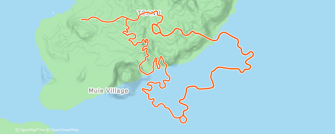 活动地图，Zwift - Flat Out Fast in Watopia