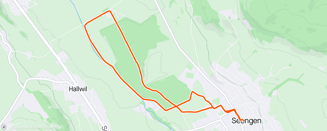 Mapa da atividade, Lunch Trail Run
