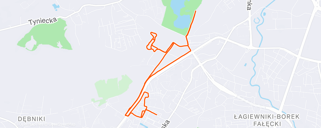 Map of the activity, Evening Run