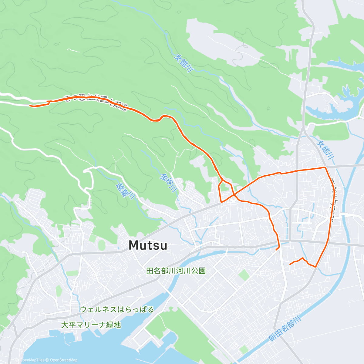 Map of the activity, 1月5回目のジョグ