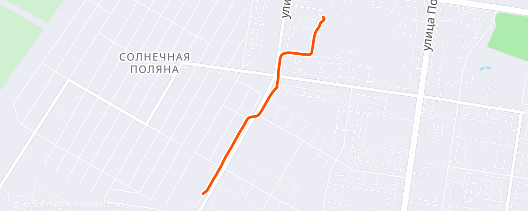 Карта физической активности (Утренняя прогулка)