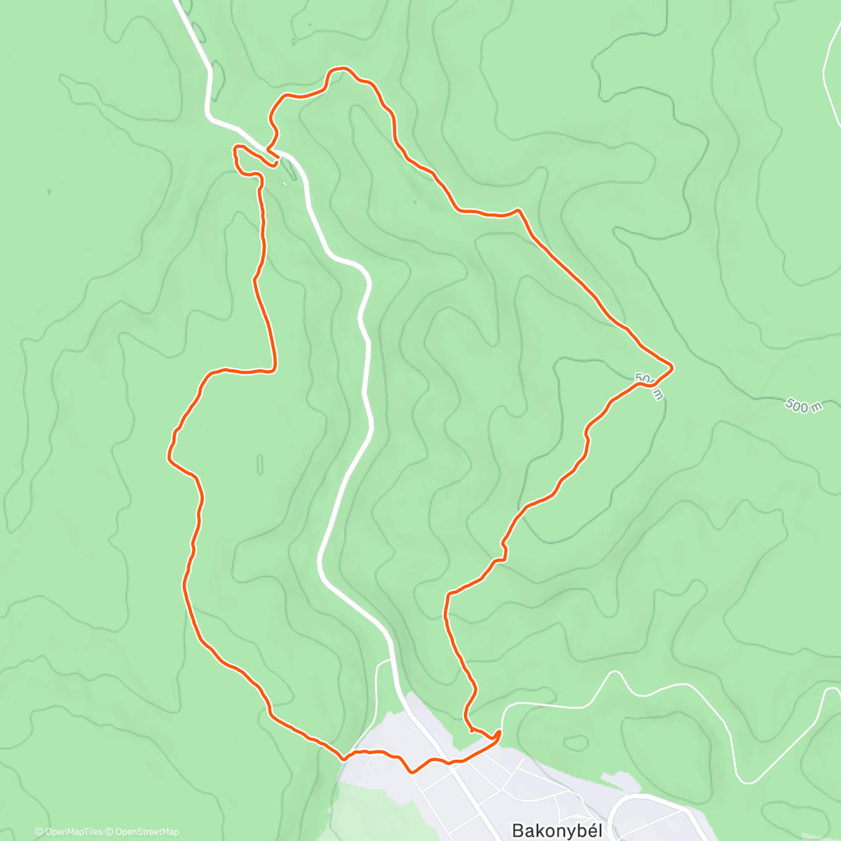 Map of the activity, Morning Run