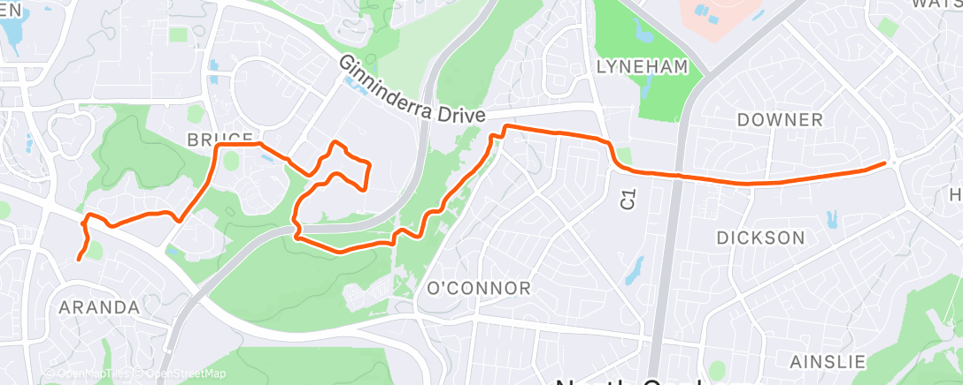 Карта физической активности (Morning Run)