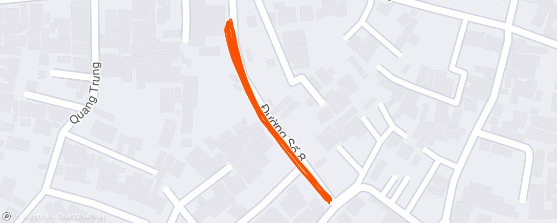 Map of the activity, Night Walk