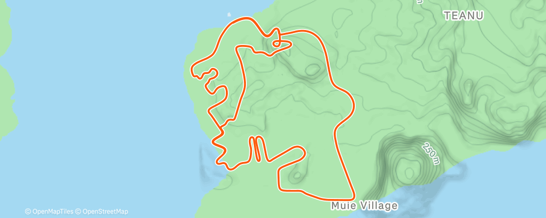 Map of the activity, Zwift - 01. Sweet Spot Foundation [Lite] on Flat Route in Watopia