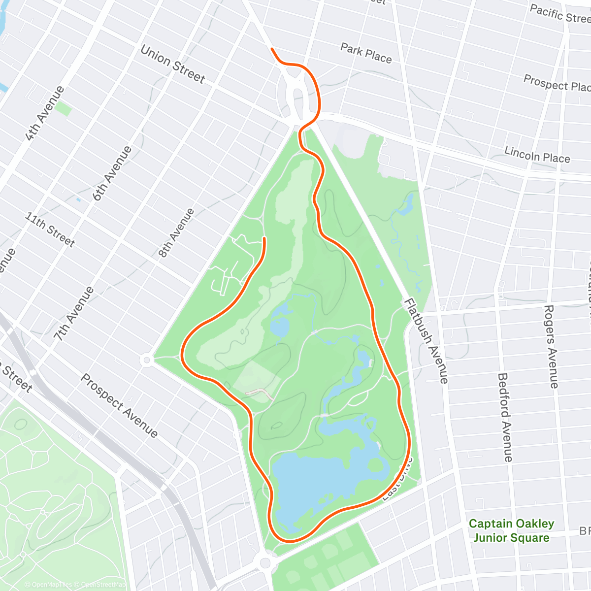 Карта физической активности (Zwift - Green to Screen in New York)