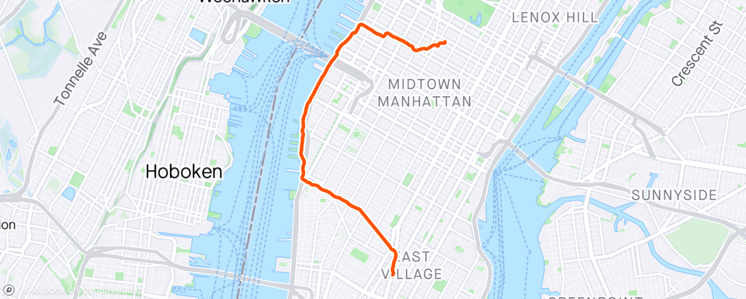 Map of the activity, Morning Run w/M