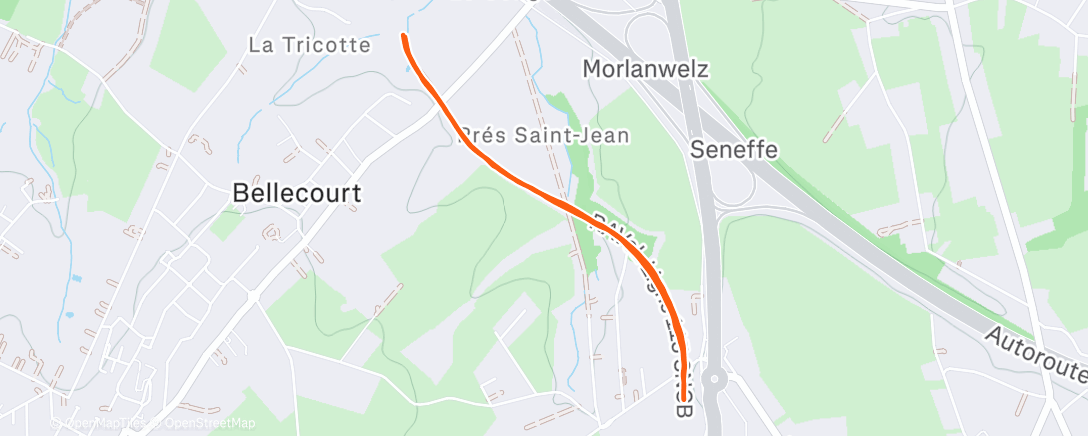 Map of the activity, Course à pied dans l'après-midi