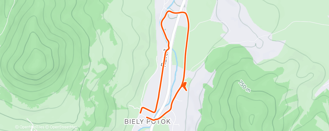 Map of the activity, Morning Walk