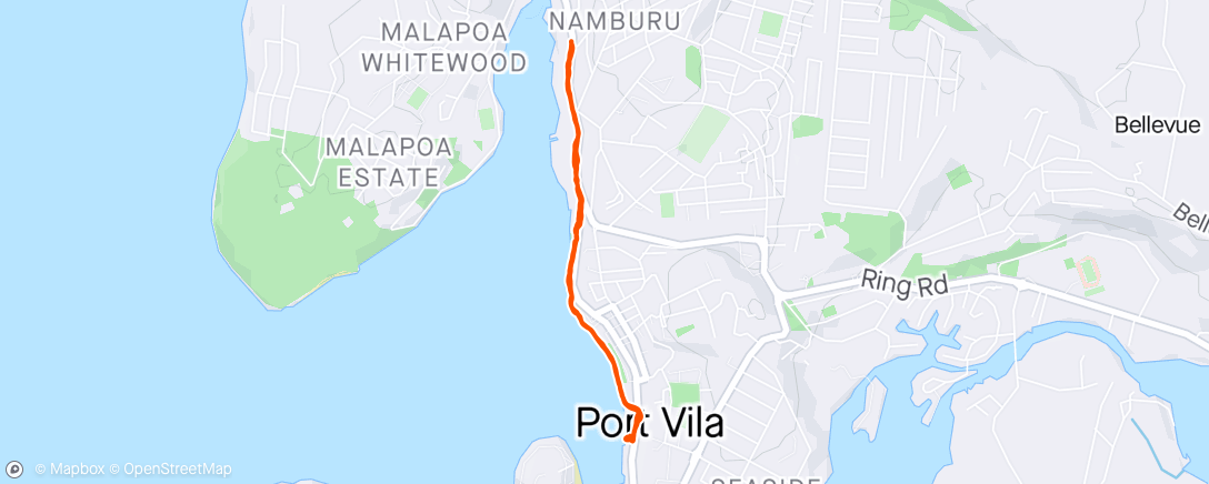 Map of the activity, Port Vlia