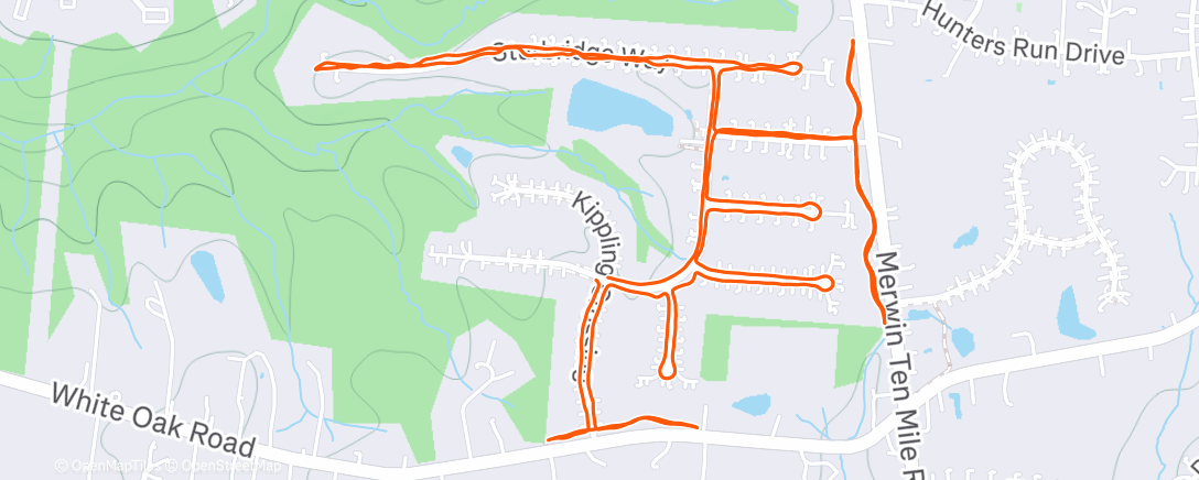 Map of the activity, Every Sidewalk in the Neighborhood (1 Lap)