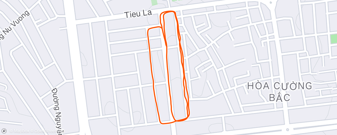 Map of the activity, Morning Run