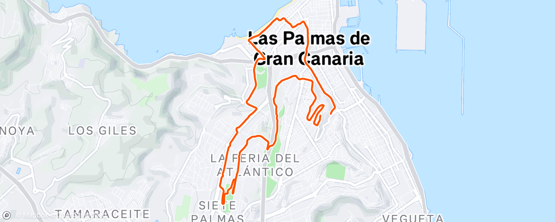 Map of the activity, 80min easy