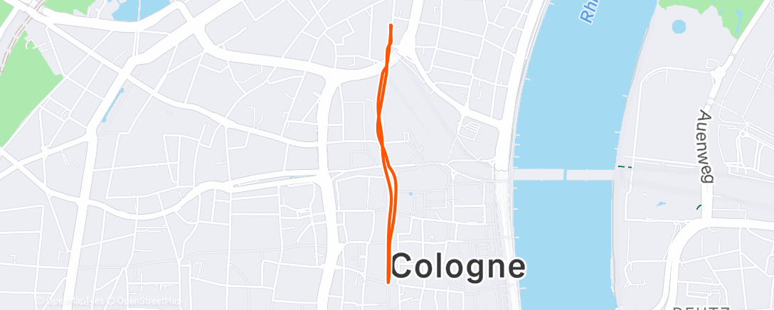 Карта физической активности (Morning Run)